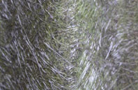 Cusop fibreglass roof work